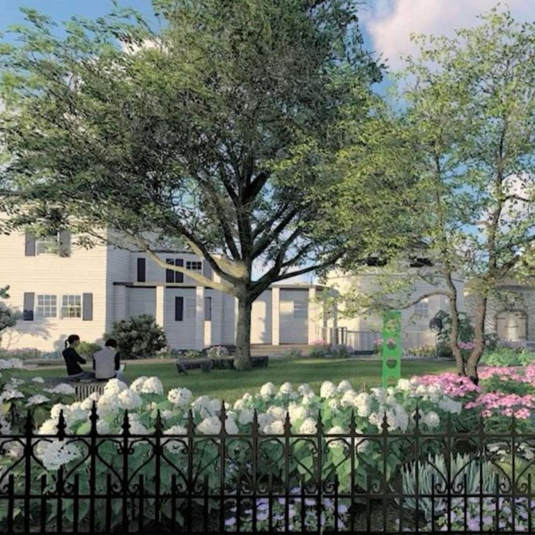 Westport Museum's new garden design with a view of a big tree