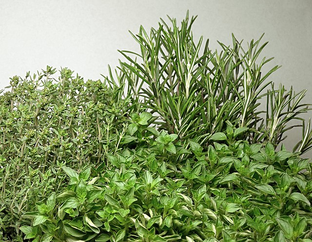 Courtesy of Wikimedia Commons. Picture displays several well-developed herbs against a white backdrop.